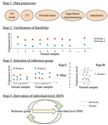 Typical workflow of differential protein expression analysis showing data preprocessing, statistical testing, and biological interpretation steps